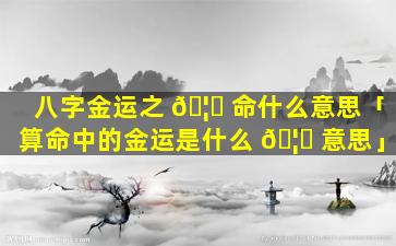 八字金运之 🦉 命什么意思「算命中的金运是什么 🦉 意思」